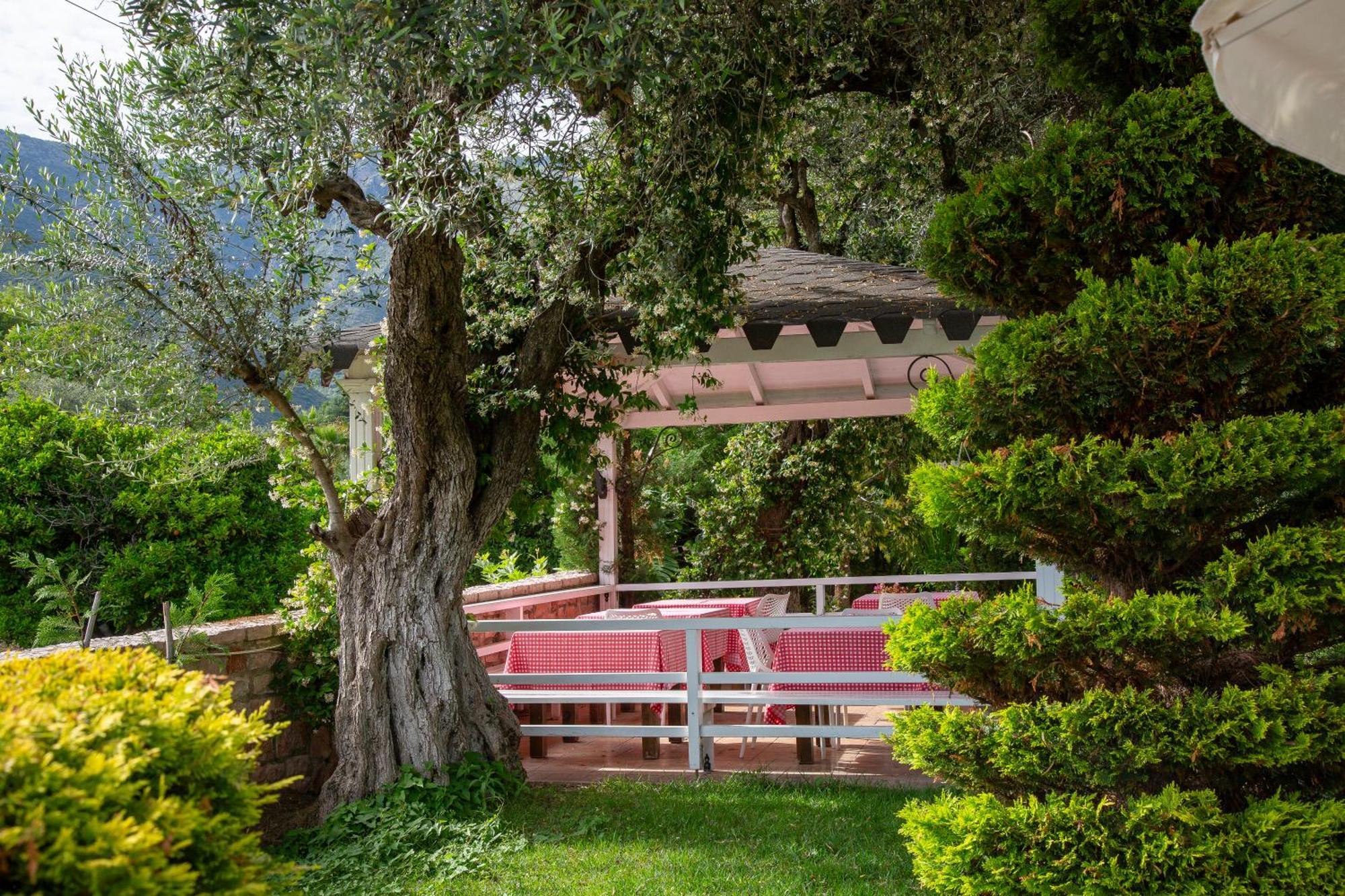 Vila Florika Hotel Borsh Exterior photo
